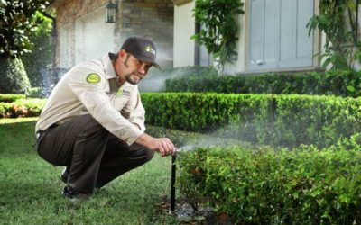 How to properly irrigate your Florida lawn