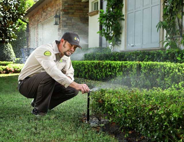 How to properly irrigate your Florida lawn
