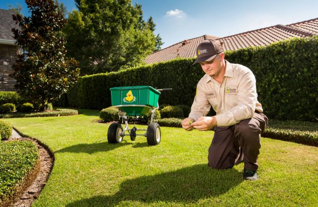 Started from the bottom… #grass #lawncare #lawn #funny #drake #howto