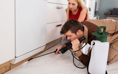 How doing your own pest control can do more harm than good