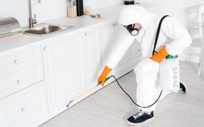 Is Monthly Pest Control Necessary?