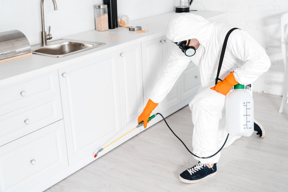 Is Monthly Pest Control Necessary?