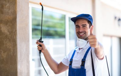 How long does a pest control treatment last?