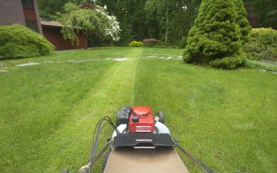 5 Reasons to Hire a Professional Lawn Care Service