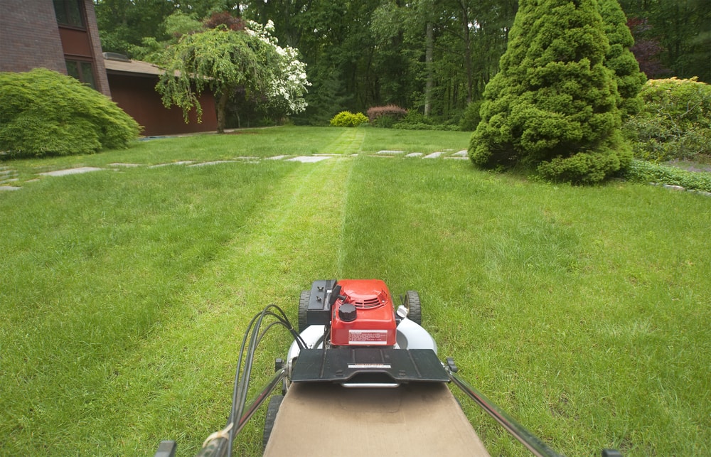 why hire professional lawn care